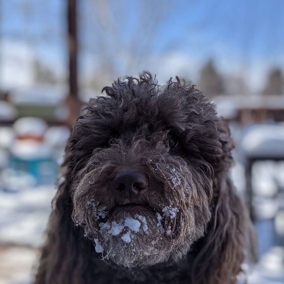 Meet your Posher, Kevin - Picture 1 of 1